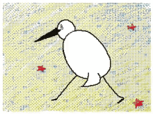 Bird Funny GIF - Bird Funny Animated GIFs
