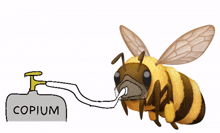 copium bzz copium copium bzz copium bee