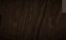 a screenshot of a video game shows a door and a brick wall