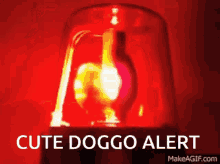 Cute Doggo Alert Alert GIF - Cute Doggo Alert Alert Dog GIFs