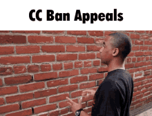 Crystal Calamity Ban Appeal GIF - Crystal Calamity Ban Appeal GIFs