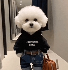 a small white dog wearing a black hoodie that says ' nonacing erke ' on it