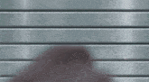 a person is standing in front of a gray metal wall .