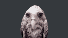 Bogel Owl GIF - Bogel Owl Wet GIFs