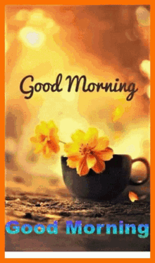 Good Morning Flower GIF - Good Morning Flower Good Day GIFs
