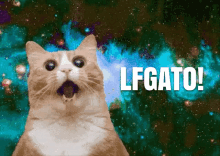 Cat Cat Space GIF - Cat Cat Space Space Cat GIFs