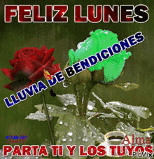 a picture of a rose and a cup of coffee with the words feliz lunes lluvia de bendiciones parta ti y los tuyos
