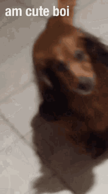 Buggsy Wholesome GIF - Buggsy Wholesome GIFs