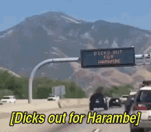 dicks out harambe road sign highway