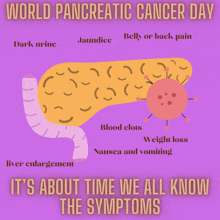 Pancreatic Cancer Day Pancreatic Cancer Awareness GIF - Pancreatic Cancer Day Pancreatic Cancer Awareness Tutti Frutti Women GIFs