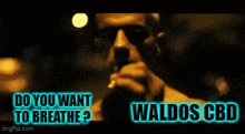 Waldos Waldose GIF