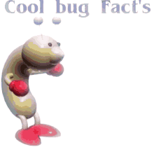Cool Bug Facts GIF - Cool Bug Facts GIFs