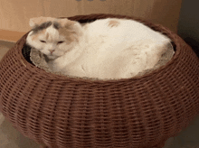 a cat is laying in a wicker basket with a cushion