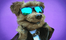 Hacker T Dog Cool GIF - Hacker T Dog Cool Funny GIFs