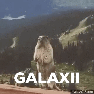 Funniest Ever GIF - Funniest Ever - Discover & Share GIFs
