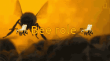 Bee Bee Role GIF - Bee Bee Role Bees GIFs