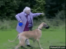 Grandma Dog GIF - Grandma Dog Fetch GIFs