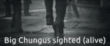 Chungus Big Chungus Sighted GIF - Chungus Big Chungus Sighted Deus Ex Chungus GIFs