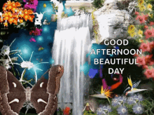 Good Afternoon Beautiful Day GIF