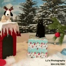 Snowing Cats GIF - Snowing Cats Christmas GIFs