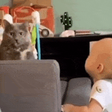 Cat Baby GIF - Cat Baby Cry GIFs