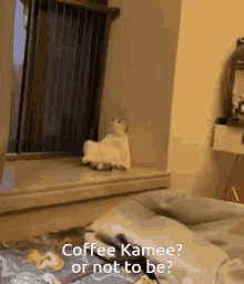 m_kamee m_coffee coffee kamee kamee