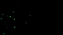 a green lightning strike on a black background