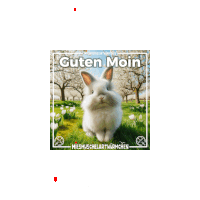 a picture of a rabbit with the words guten moin written on it