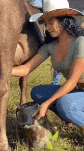 Cowboy Girl Cow Milk GIF