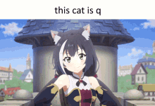 Kyaru Princess Connect GIF - Kyaru Princess Connect This Cat Is Q GIFs