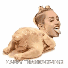 Happy Thanksgiving Twerk GIF - Happy Thanksgiving Twerk Turkey GIFs