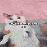 a cat is being held in someone 's arms with the caption why did bro wiggle his shii .