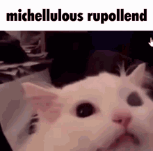 Michellulous Rupollend Michellulous GIF - Michellulous Rupollend Michellulous Miraculous GIFs