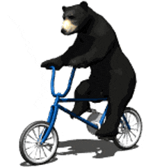 Bear Bicycle GIF - Bear Bicycle Cycling GIFs
