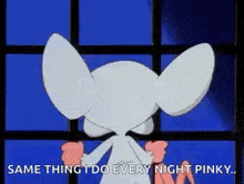 pinky and the brain is standing in front of a window and saying `` same thing i do every night pinky ... ''