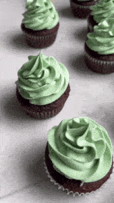 Mint Chocolate Cupcakes Dessert GIF
