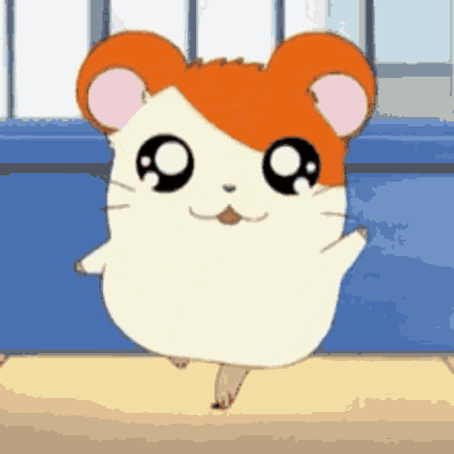 xxkawaiiakachan cute hampster gif