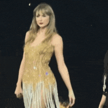 Indiniprint Taylor Swift Fearless Eras Tour GIF