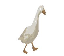 walking duck