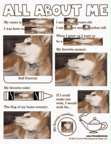 Doge Shiba GIF - Doge Shiba All About Me GIFs