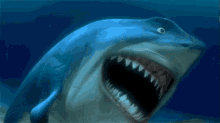 Bruce Nemo GIF - Bruce Nemo Laughing GIFs
