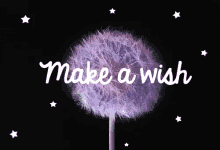 make a wish hope it comes true