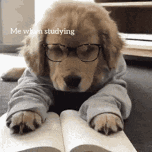 Studying Tired GIF - Studying Tired Of GIFs