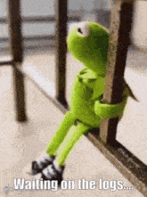 kermit the frog is sitting on a railing with the words waiting on the logs below him