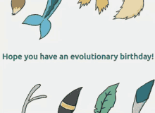 Pokemon Birthday GIF - Pokemon Birthday Evolutionary GIFs