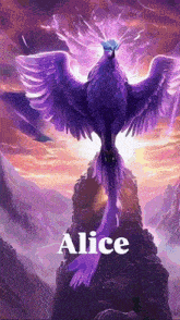 a purple phoenix is sitting on top of a rock with the name alice below it