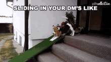 Sliding In Your Dms Like Hit You Up GIF