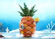 Spongebob Squarepants GIF - Spongebob Squarepants Pineapple GIFs