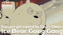 spyro chat ice bear gang