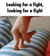 looking for a fight looking for a fight written on a gif